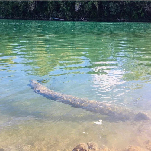 Parcelas A 2 Minutos Del Lago Rupanco, Acceso A Rio