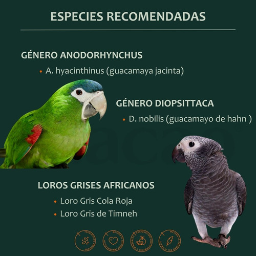Alimento Para Guacamayas Y Loros Grises Croquetas Macao 10k