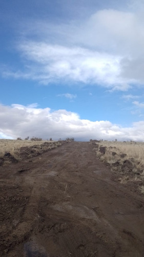 Hectareas Sobre R259 Ingreso A Trevelin