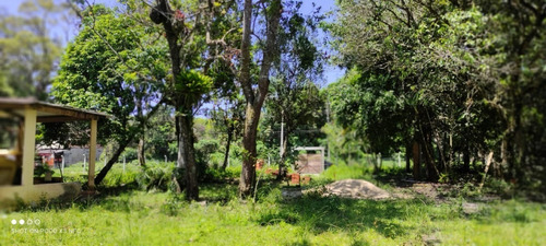 Imagem 14 de 15 de Chácara No Jardim São Fernando, Em Itanhaém, Com 2500 M² De Área Total, Aceita Entrada E Parcelas