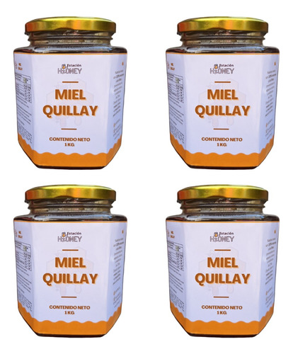 Miel De Abejas. Quillay. Pack 4 Kg. Estación H2oney.