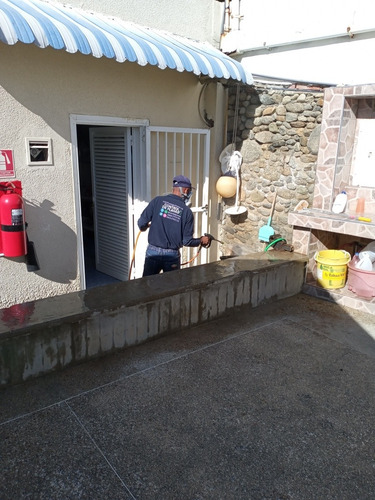 Imagen 7 de 9 de Fumigación Y Control De Plagas