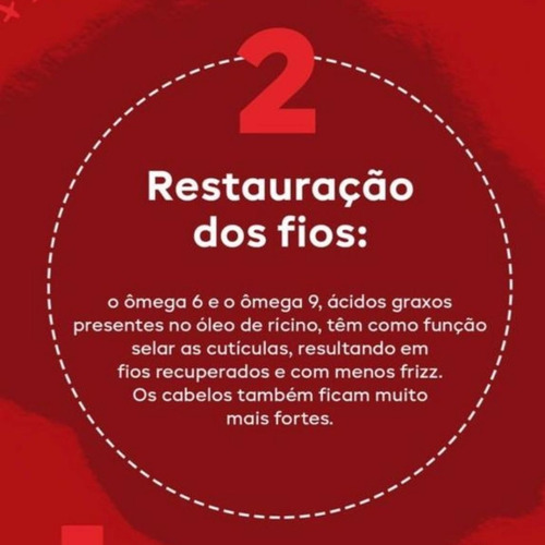 Imagem 11 de 12 de Oléo De Ricino Vegetal+ampola Biotina Cavalo Real Vita Seiva