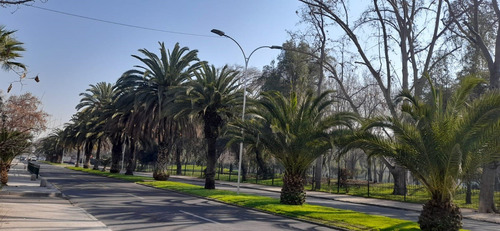 A Pasos De Metro Rondizzoni Y Parque O´higgins Dpto. 1 Dormi