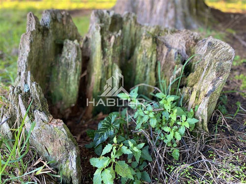 Imagen 12 de 30 de Sitio 5.000m2 Oferta Orilla Rio Navegable En Venta En Toltén