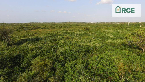 Imagem 11 de 13 de Sou Uma Área Com 50.662m² Na Br-101, No Trevo De Extremoz, Perfeita Para Seu Projeto Imobiliário E Custo R$ 2.990.000,00!!! - Ar0006