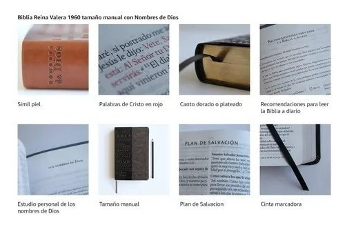 Biblia Rvr 1960 Letra Grande Tamaãâ±o Manual, Simil Piel Azul Alpha Omega Con Nombres De Dios / ..., De Reina Valera Revisada 1960. Editorial Origen, Tapa Blanda En Español