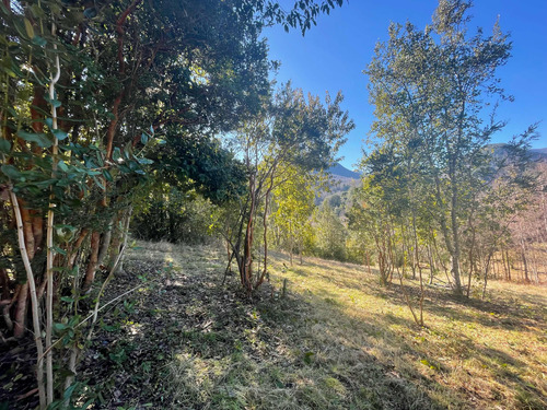 Terreno En Pucón De 10.000mts