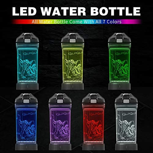 Botella De Agua Resplandeciente 3d De Dinosaurio, Vasos Para