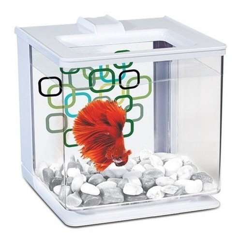 Bettera Pecera Pez Betta Fácil Mantenimiento Blanca 2,5l