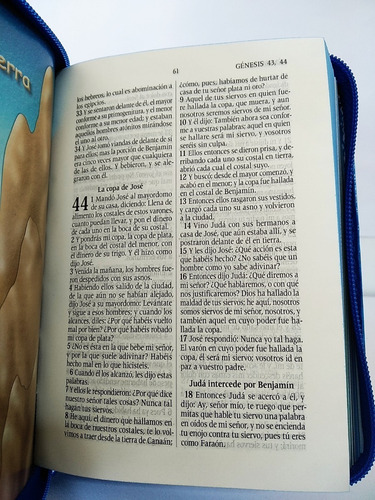 Imagen 9 de 10 de Biblia Amigos Por Siempre Rvr1960 Acolchonada Azul C/cierre