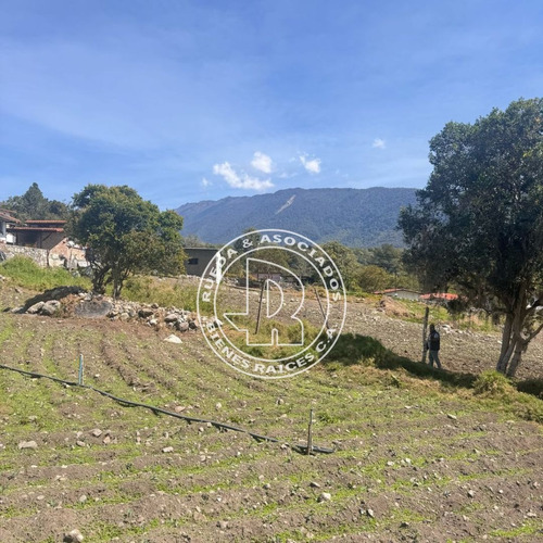 En Venta Terreno En El Playon Alto El Valle Mérida Venezuela