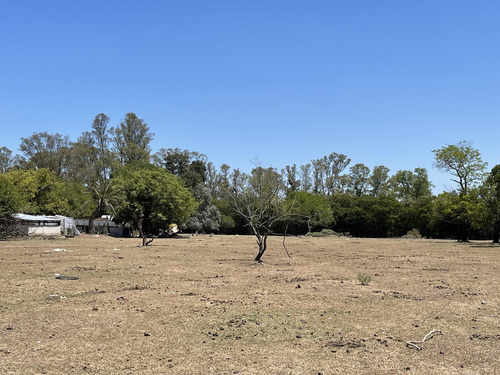 Terreno En Venta 1ha - Ideal Desarrollo Inmobiliario