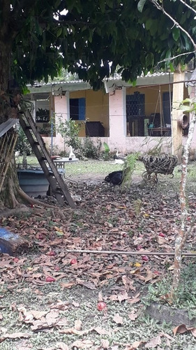 Rural Para Venda, 2 Dormitórios, Parque Da Alvorada - Itanhaém - 12420