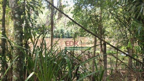 Imagem 8 de 11 de Terreno À Venda, 24500 M² Por R$ 300.000 - Centro - Biritiba-mirim/sp - Te3426