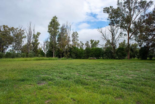 En Venta Lote En Viñedo San Lucas, San Miguel De Allende