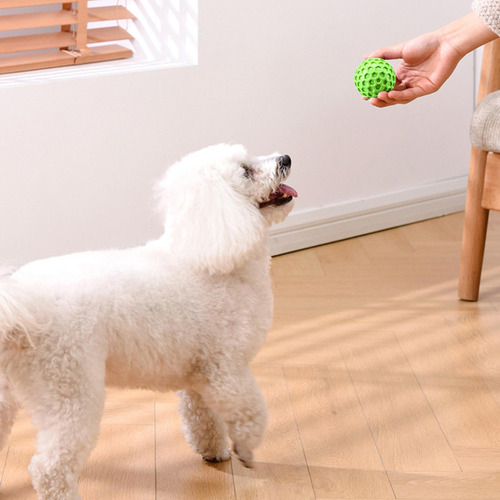 // De Masticación De Perros Duros Bolas De Juguete Para