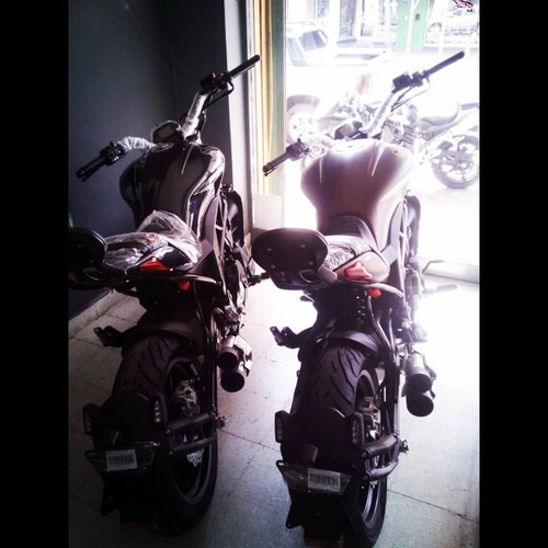 Imagen 7 de 8 de Benelli 502c