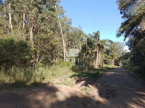 Venta De Lote En Sauce De Portezuelo, Punta Ballena. - Ref : Pbi2891