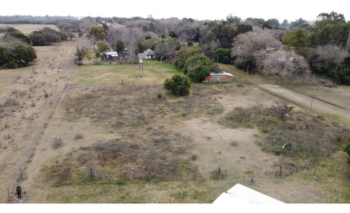 Imagen 4 de 8 de 2 Lotes (valor De 1) Punta Del Indio T-763