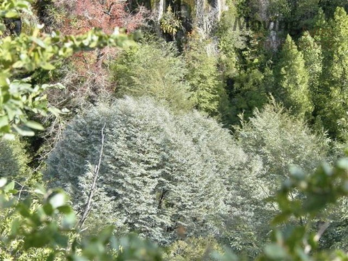 Espectacular 10.838m2 Reserva Privada La Invernada Curico
