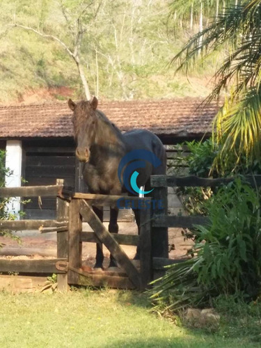Imagem 28 de 30 de Fazenda À Venda, 290000 M² - Das Laranjeiras - Paraibuna/sp - Fa0005
