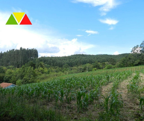 Imagem 18 de 25 de Chacara - Ch00139 - 69025039