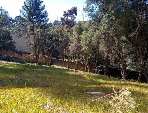 Imagem 10 de 13 de Terreno No Alto Da Boa Vista Próximo Ao Museu Felícia Lenner - 1