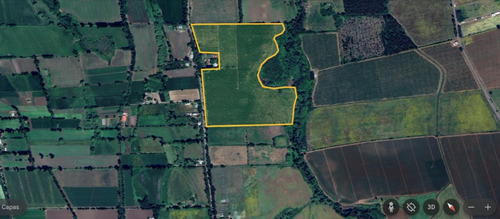 Campo De Cerezos En Venta - Produciendo - Chillan
