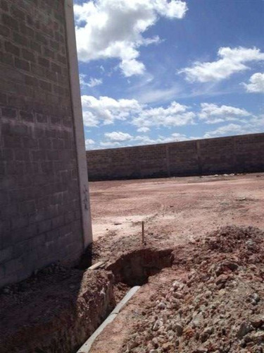 Imagem 5 de 9 de Galpao - Gl00028 - 2738818