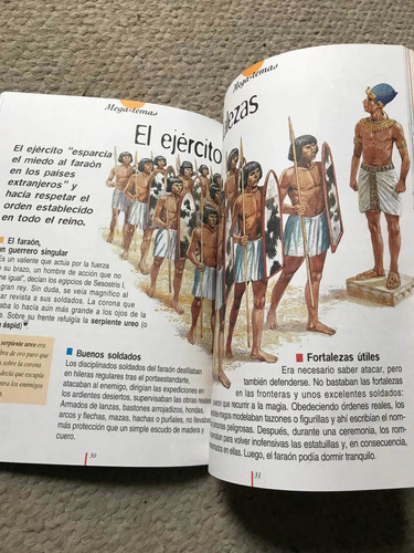 Libro Megascope Los Fascinantes Faraones De Egipto Español (Usado)