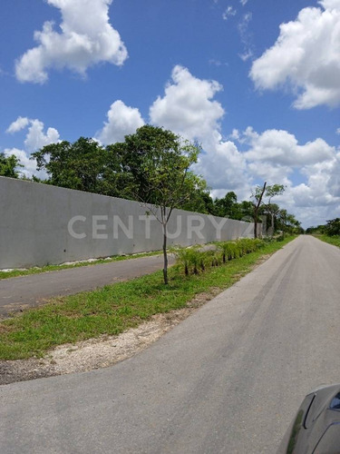 Terreno En Venta, En Chicxulub, Yucatán