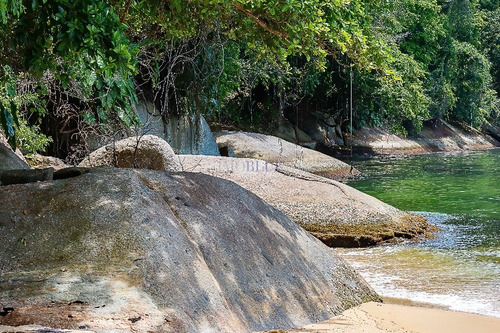 Imagem 30 de 30 de Praia Ou Campo? Os 2... - 994
