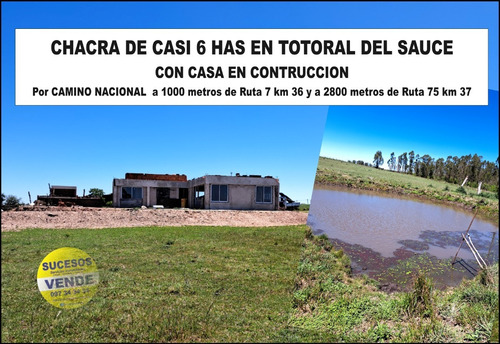 Vende Chacra De Casi 6 Has Con Casa En Contuccion En Camino Nacional En Totoral Del Sauce A 1000 Metros De Ruta 7 Km 36