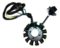 Comprar Encendido Completo 11 Bobinas Um Xtreet 230 º-º