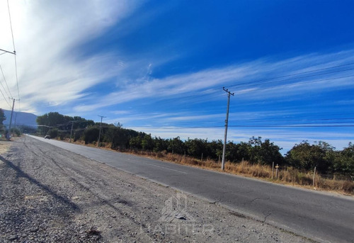Sitio 2.000 M2 En Quillon
