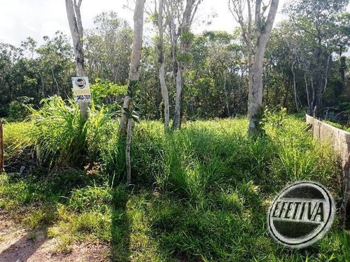 Imagem 2 de 11 de Terreno De 12x30 M² -balneário Betaras-matinhos-pr - 625t