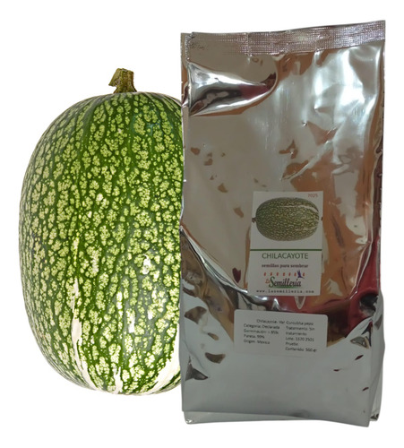 Semillas De Chilacayote - Bolsa De 500 Gramos