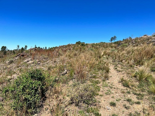 Imagen 9 de 15 de Venta De Campo 207 Hectáreas En Villa Alpina - Tlc0681