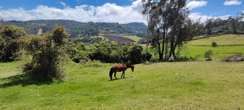 Lote En Venta En Vereda San Rafael. Cod V13714