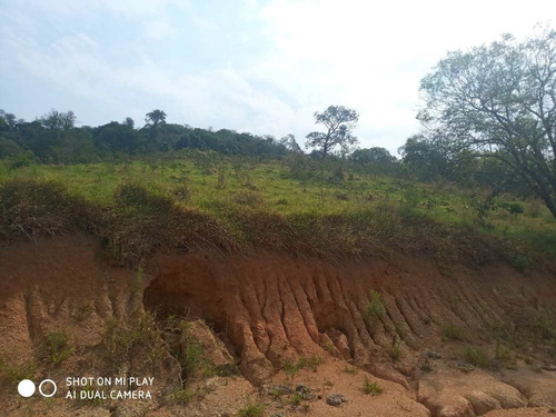 Imagem 8 de 9 de Terreno, Itaim Mirim, Santana De Parnaíba - R$ 3 Mi, Cod: 235438 - V235438