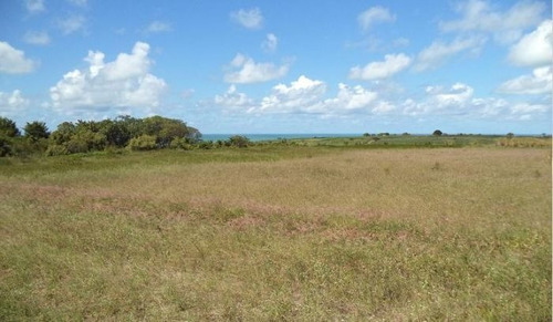 Imagem 6 de 13 de Terreno À Venda Na Loteamento Praia Bela Lote 48 , Quadra 71, Praia Bela , Pitimbu - Pb - Liv-11866