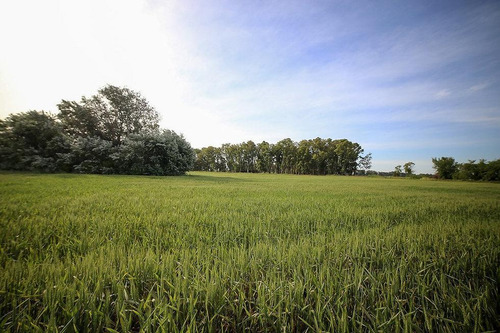 Terreno En Venta - 4.650mts2 - Carlos Keen