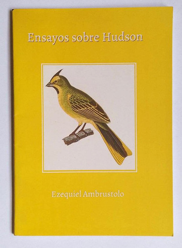 Ensayos Sobre Hudson, Ezequiel Ambrustolo