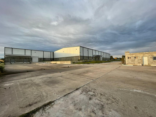 Imagen 9 de 30 de Fracción Industrial 26 Ha. Galpón 12.800 M² Cub. - Carlos Spegazzini