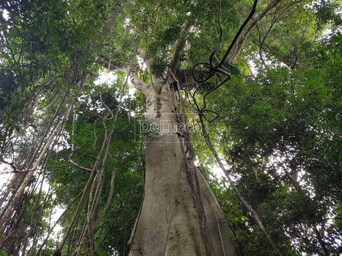 Imagem 17 de 20 de Chácara À Venda Em Colinas Do Atibaia - Ch003759