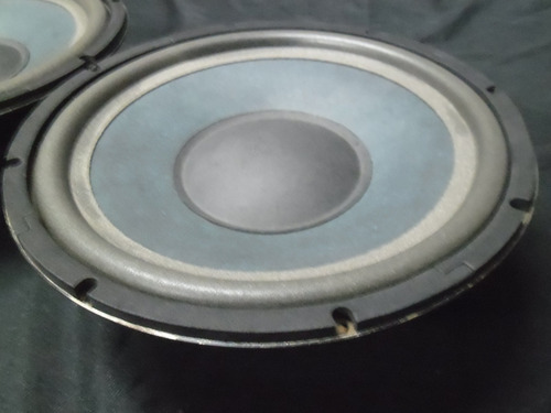 Woofer 10 Pol. Caixa Gradiente Master 66 Par