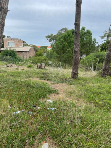 Terreno En Montoya