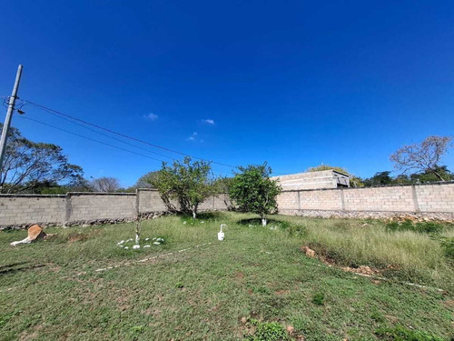Venta Amplio Terreno De 6000 M2 Tahdzibichen, Merida, Yucatan.