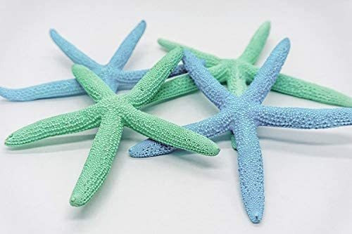 Imagen 2 de 6 de Finger Estrellas De Mar | 4 Pintado De Azul Y Verde Dedo De
